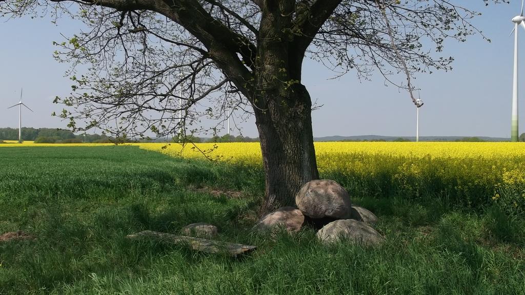 Nigel Restaurant & Hotel Im Wendland بيرغن المظهر الخارجي الصورة